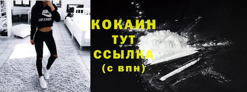 купить закладку  Ардатов  COCAIN Fish Scale 